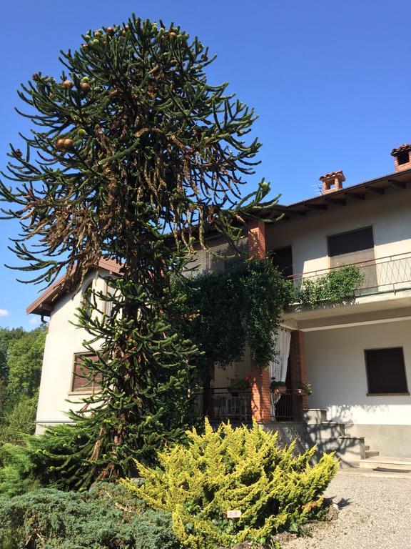 La Casa Creativa Bed and Breakfast Lomnago Exteriör bild